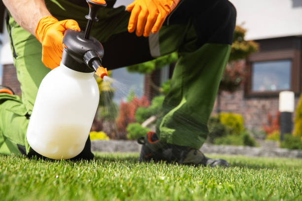 Best Insect Control  in Herscher, IL