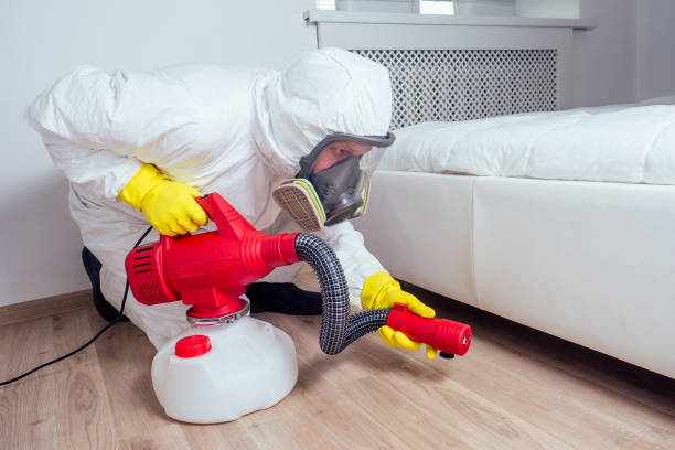 Best Mosquito Control Services  in Herscher, IL