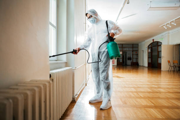 Best Rat Extermination Near Me  in Herscher, IL