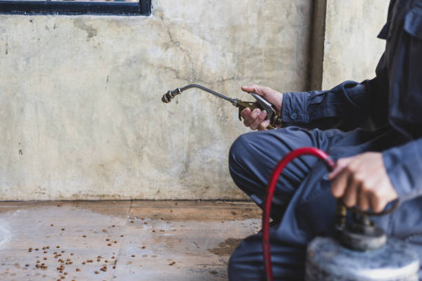 Best Pest Control Near Me  in Herscher, IL