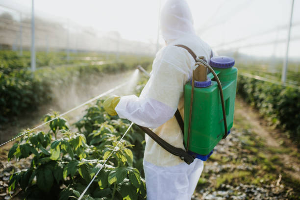 Best Residential Pest Control  in Herscher, IL